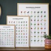 Saisonkalender Obst & Gemüse im Garten – Poster / Plakat in Farbe (ohne Rahmen)
