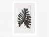 typealive / ABC Plants - M