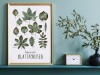 typealive / Print / Blattformen