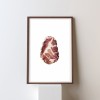 Coppa di Parma A3 Bilderdruck von Max Faber