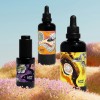 EUKIDIEN · THE LIQUID PICNIC CIRCLE OF CARE ·
"Three moods. One flow. Your skin, your senses, your story."
