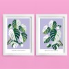Hey Urban Monkey - A4 Doppelposter - „Monstera Varigata“