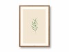 Poster A4 - Olive - SANS.