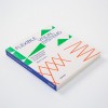 Flexible Visual Systems – The Design Manual for Contemporary Visual Identities von Dr. Martin Lorenz
