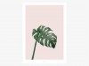 typealive / Tropical No. 7