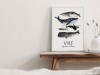 typealive / Print / Wale