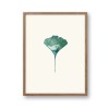Ginkgo Poster A5 - SANS