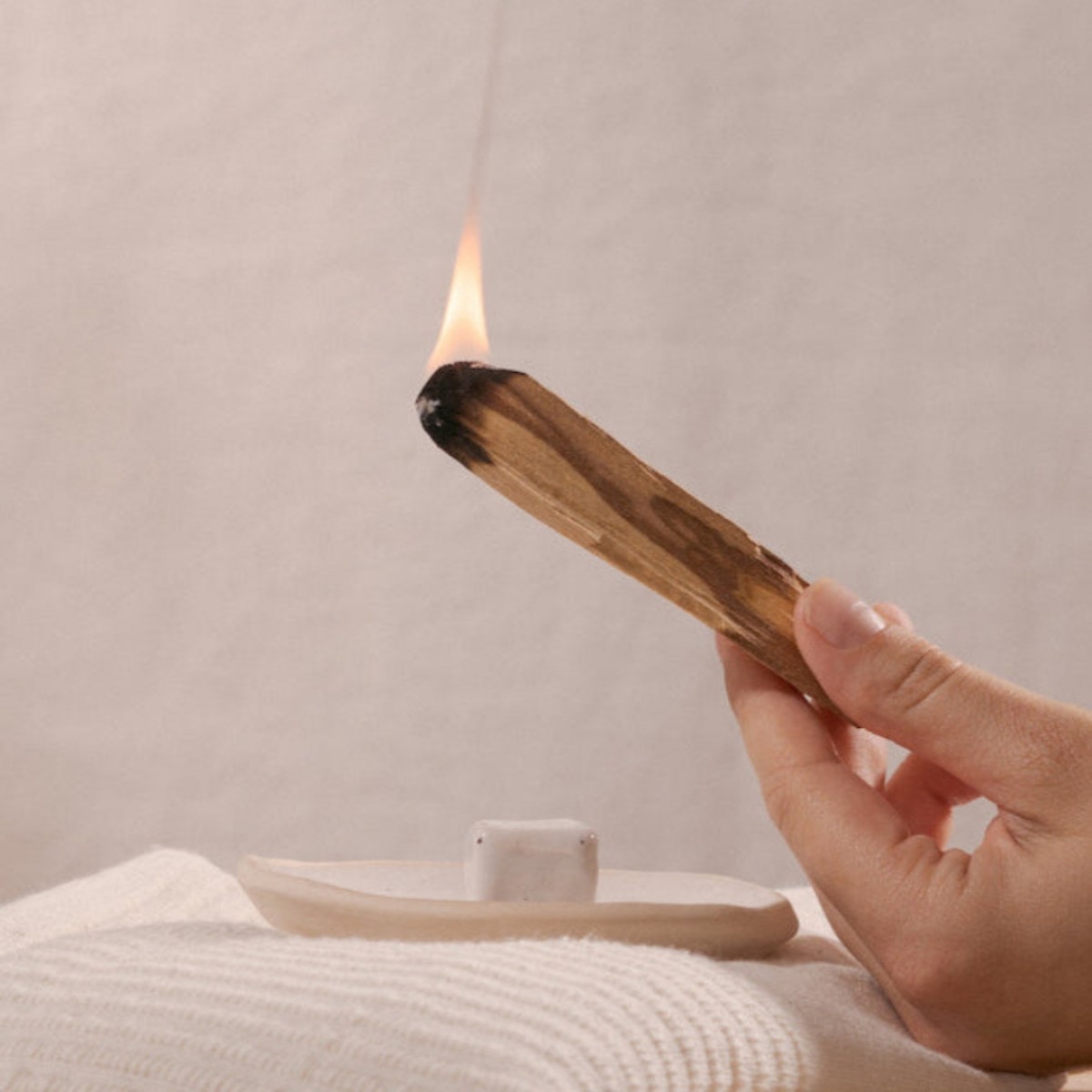 Räucherset: Nachhaltiges Palo Santo Holz & 100% Weißer Salbei Räucherbündel Daily Reset - noneedformore