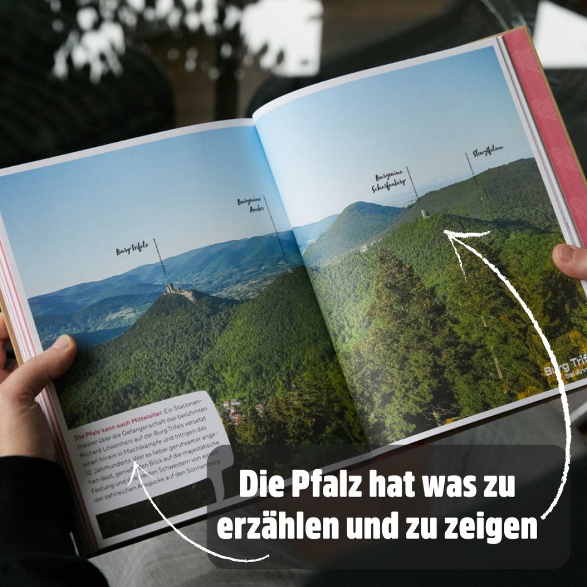 Storiez Lifestyle & Home Pfalz