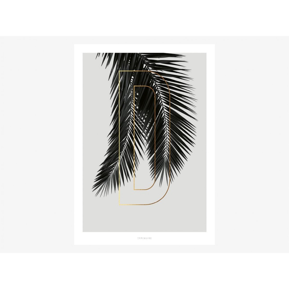 typealive / ABC Plants - D