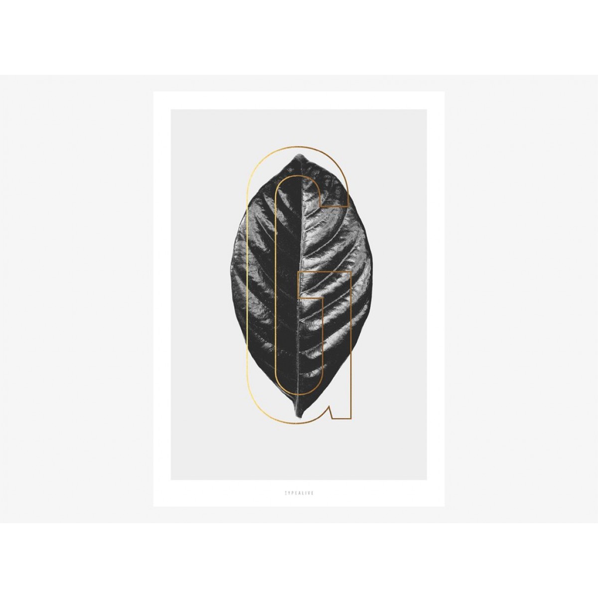 typealive / ABC Plants - G