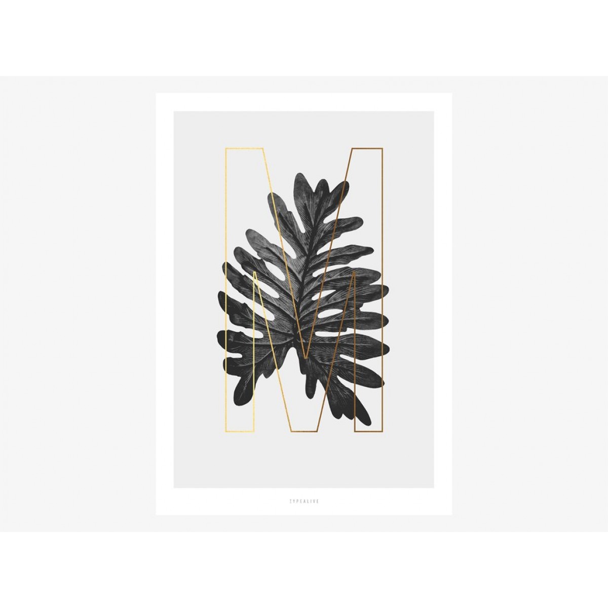 typealive / ABC Plants - M