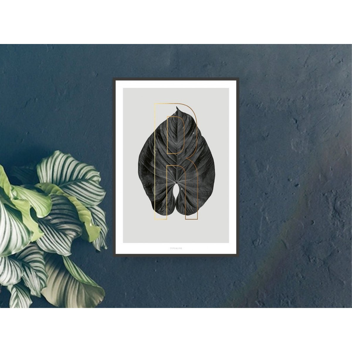 typealive / ABC Plants - R