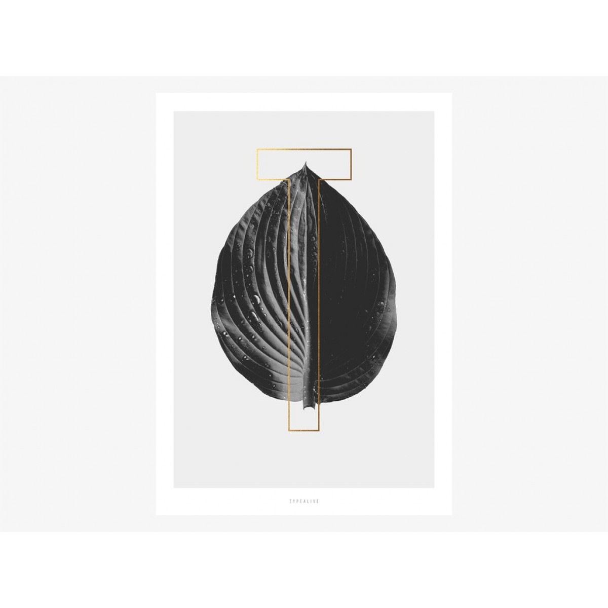 typealive / ABC Plants - T