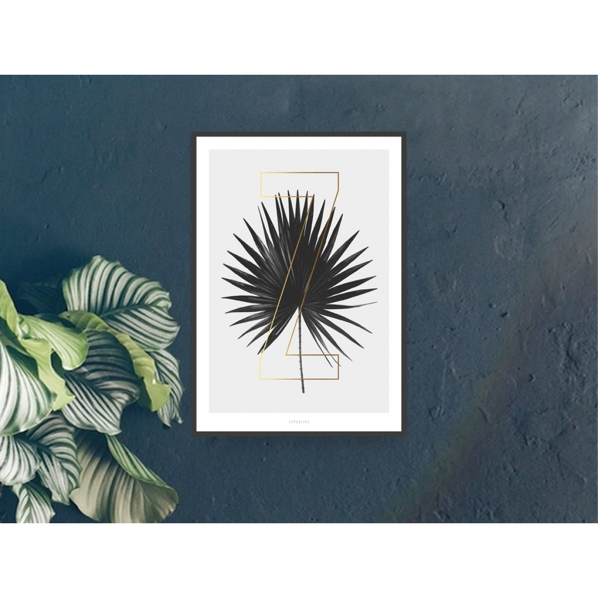 typealive / ABC Plants - Z