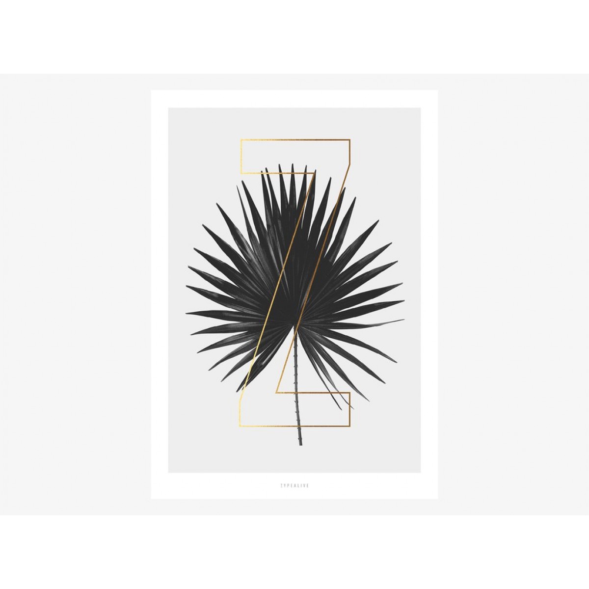 typealive / ABC Plants - Z