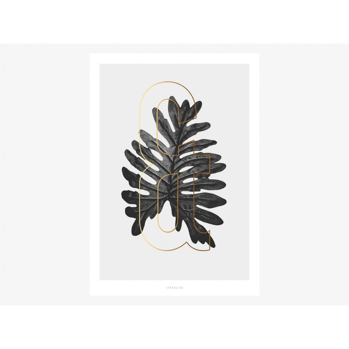 typealive / ABC Plants - &
