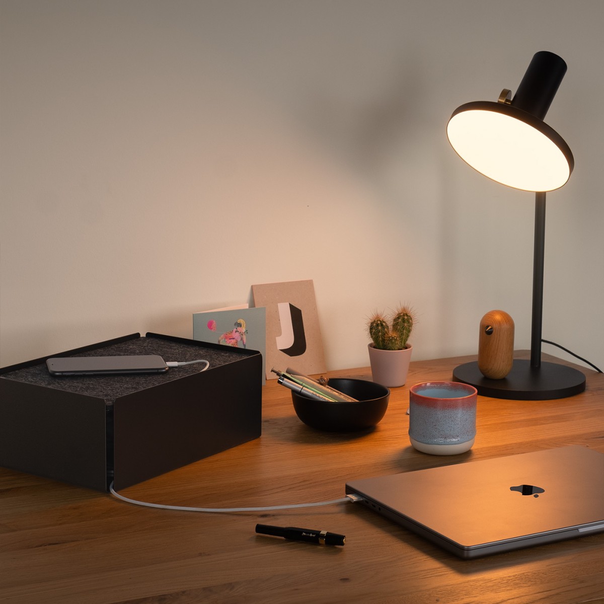 Charge-Box Ladestation Schwarz / Kork
