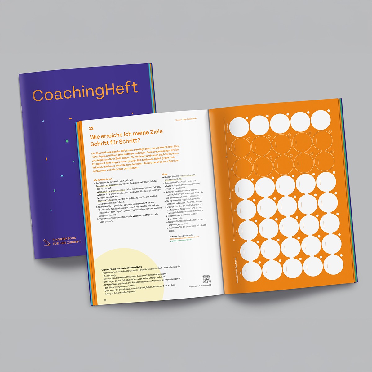 CoachingHeft (Workbook für berufliche Erst- oder Neuorientierung) – IfBk