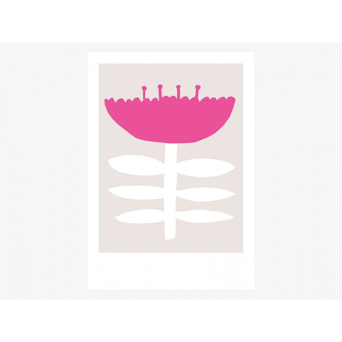 typealive / Flowery No. 2