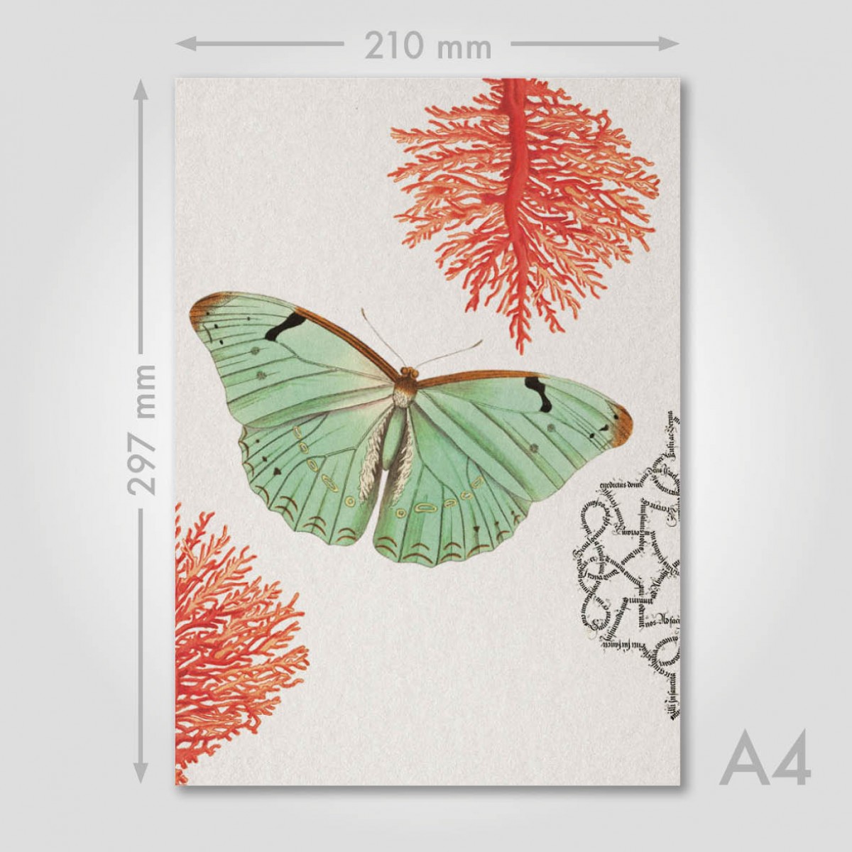 Hey Urban Monkey -
A4 Poster -
 „Morpho Laertes - Coral 1“