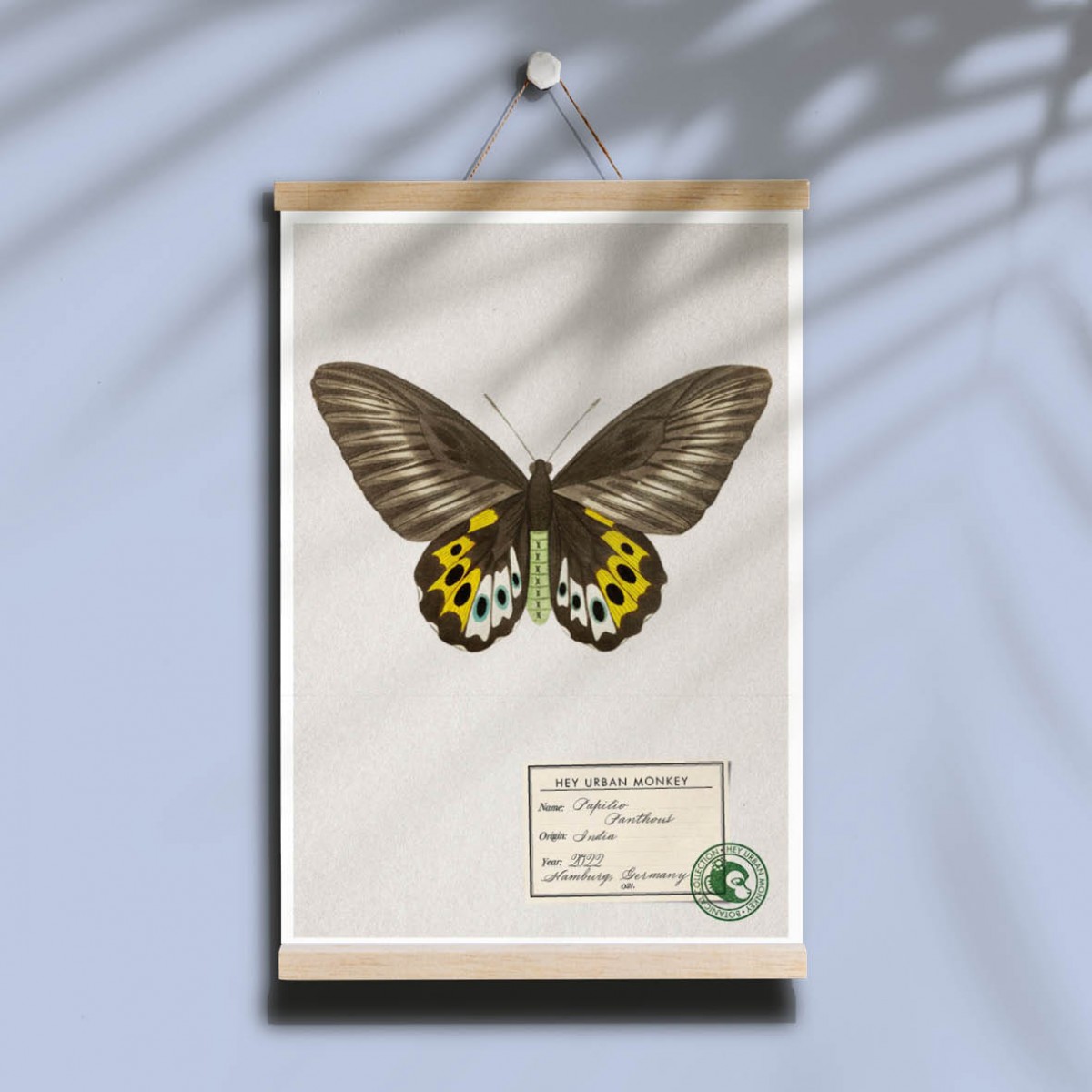 Hey Urban Monkey -
A4 Poster -
„Papilio Panthous“