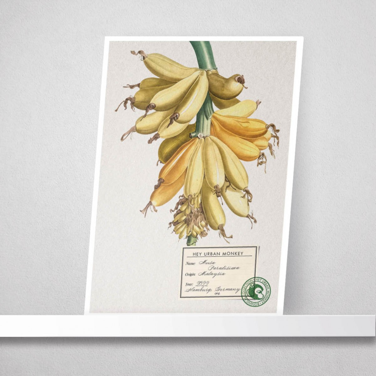 Hey Urban Monkey -
A4 Poster - 
„Musa Paradisiaca“