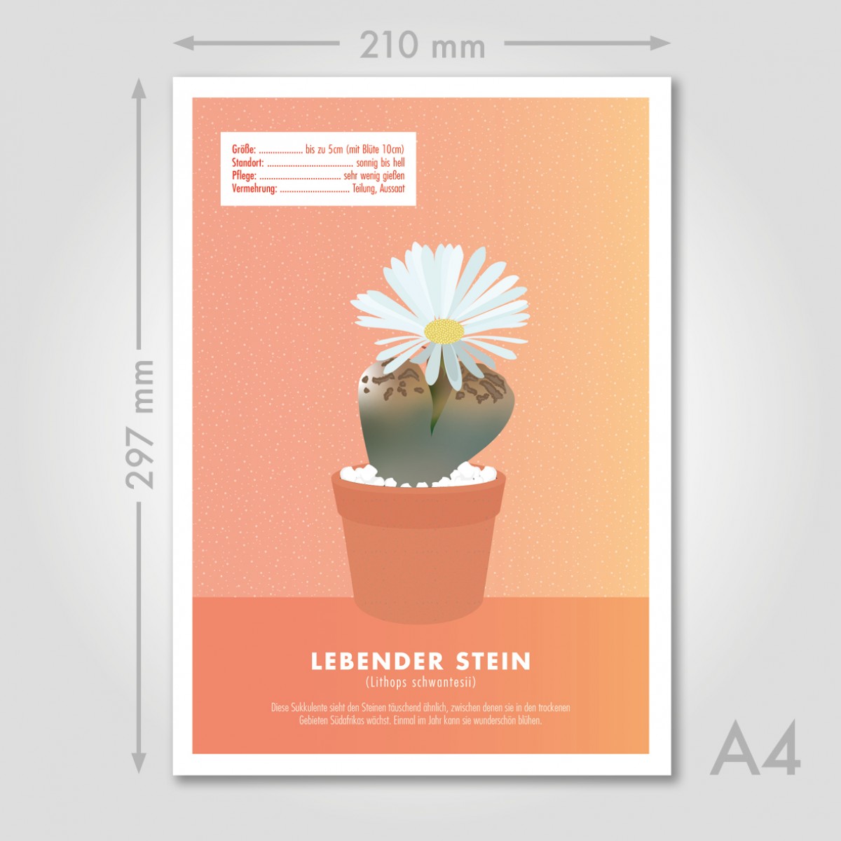 Hey Urban Monkey - A4 Poster - „Lebender Stein“