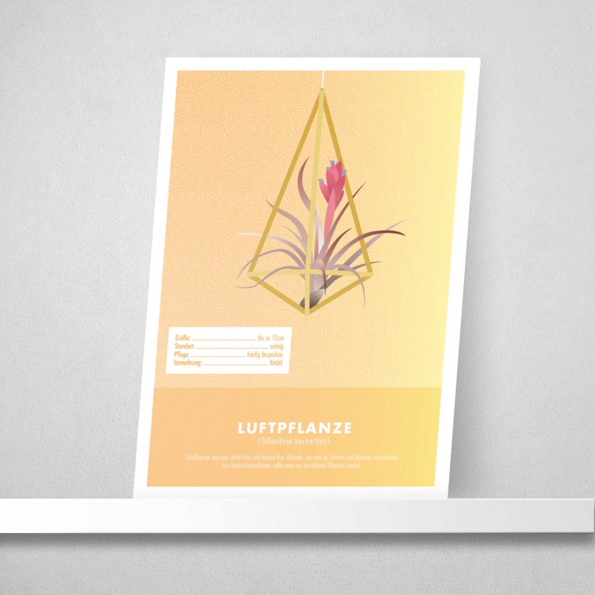Hey Urban Monkey - A4 Poster - „Luftpflanze“