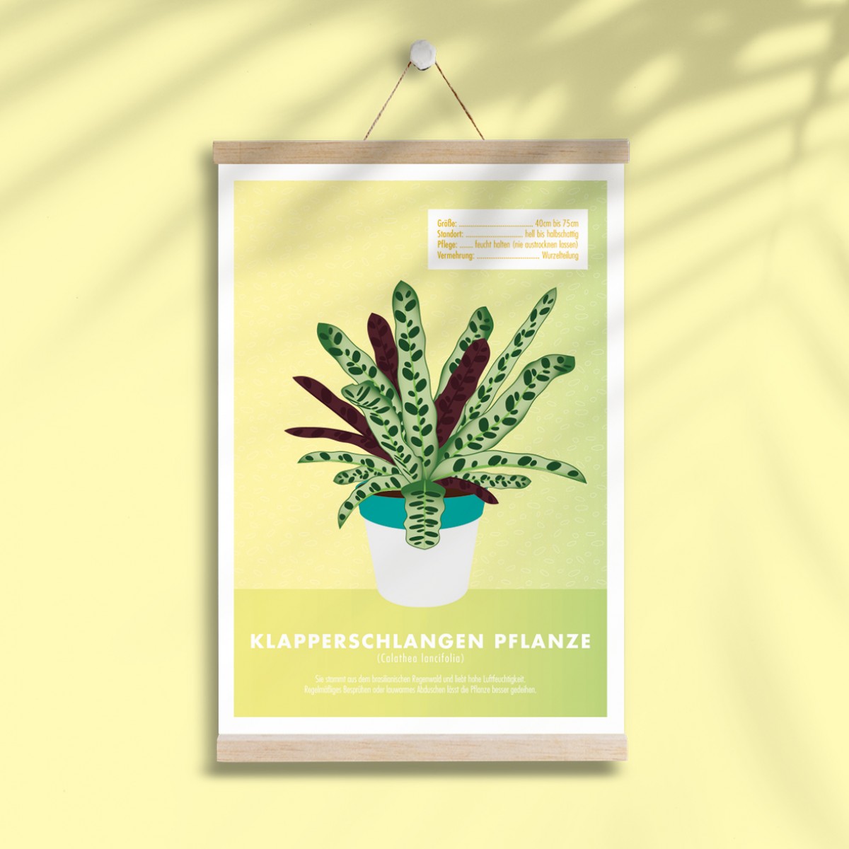 Hey Urban Monkey - A4 Poster - „Klapperschlangen Pflanze“