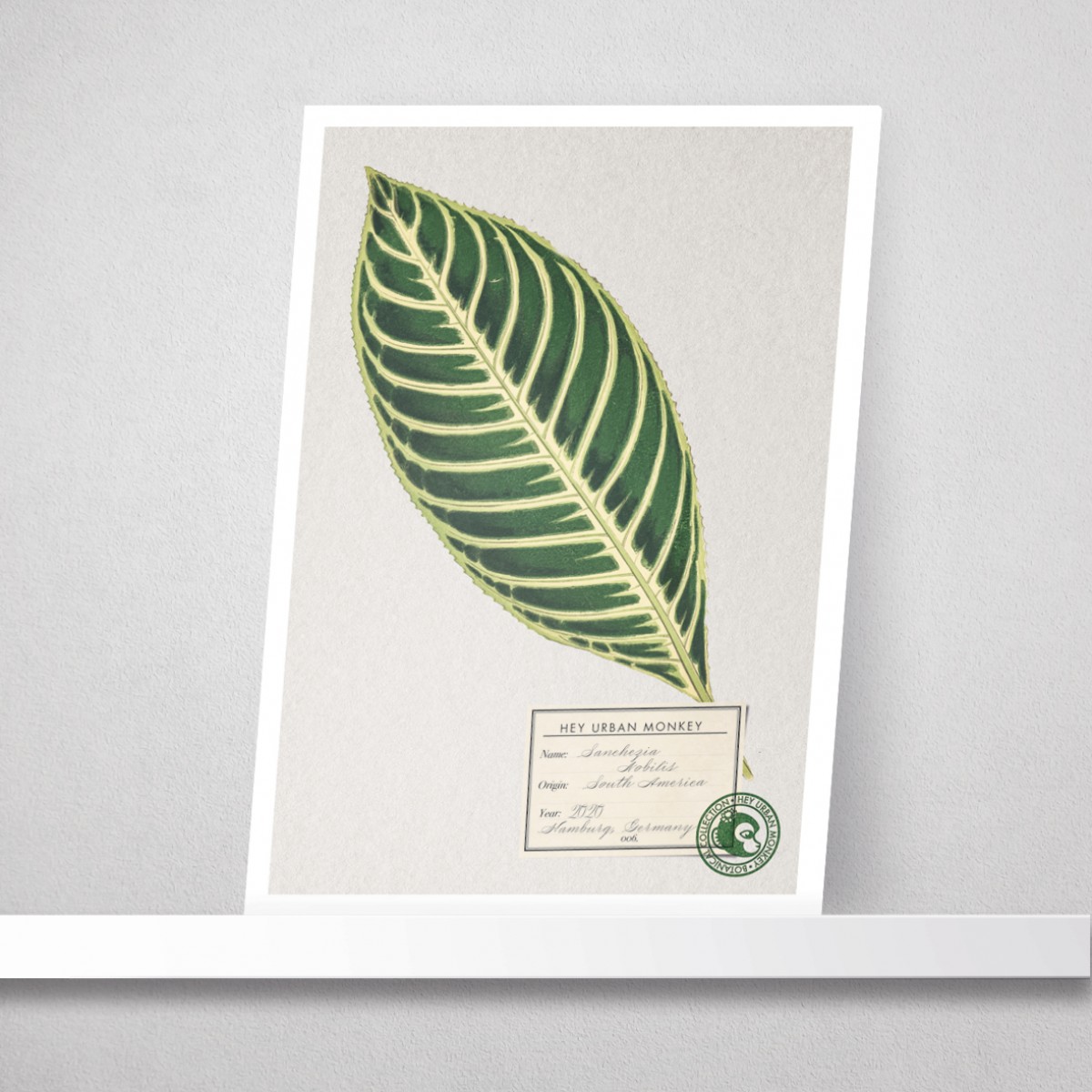 Hey Urban Monkey - A4 Poster - „Sanchezia Nobilis“