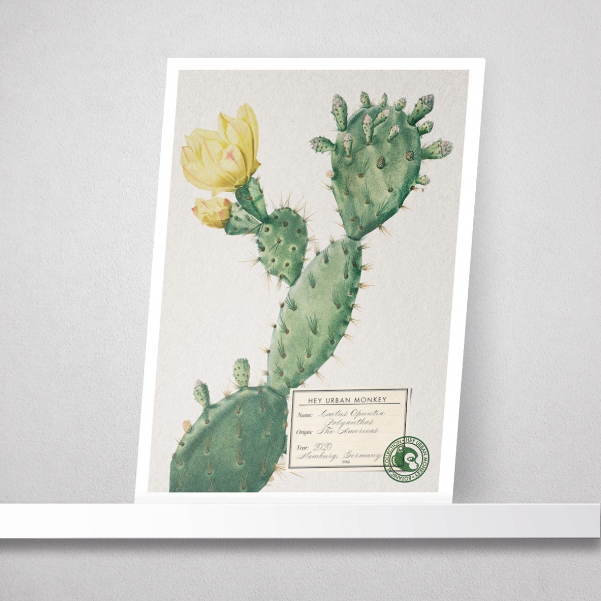 Hey Urban Monkey - A4 Poster - „Cactus Opuntia Polyanthos“