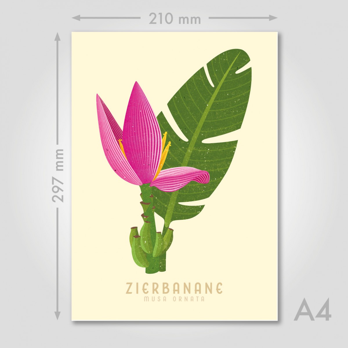 Hey Urban Monkey -
A4 Poster - „Zierbanane“