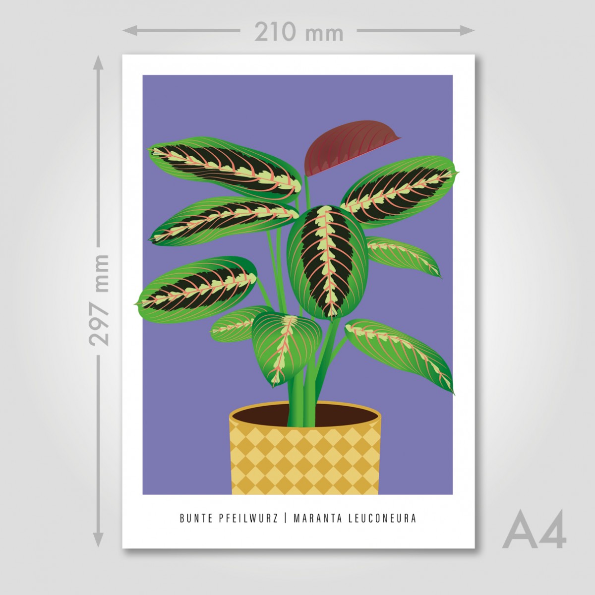 Hey Urban Monkey - A4 Poster - „Pfeilwurz“