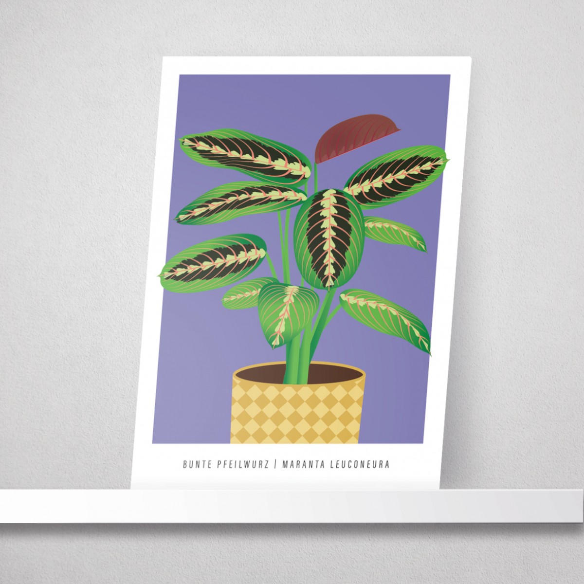 Hey Urban Monkey - A4 Poster - „Pfeilwurz“