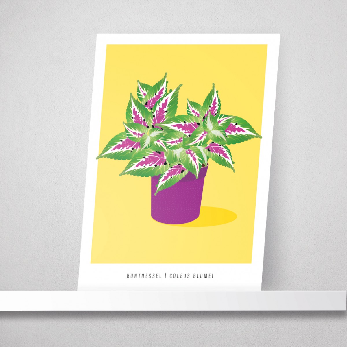 Hey Urban Monkey - A4 Poster - „Buntnessel“
