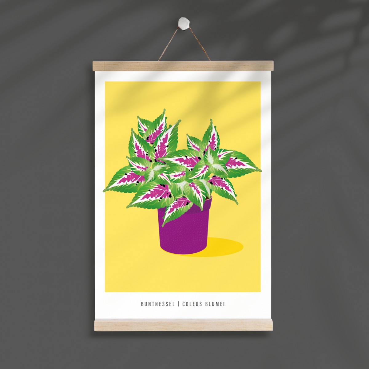 Hey Urban Monkey - A4 Poster - „Buntnessel“