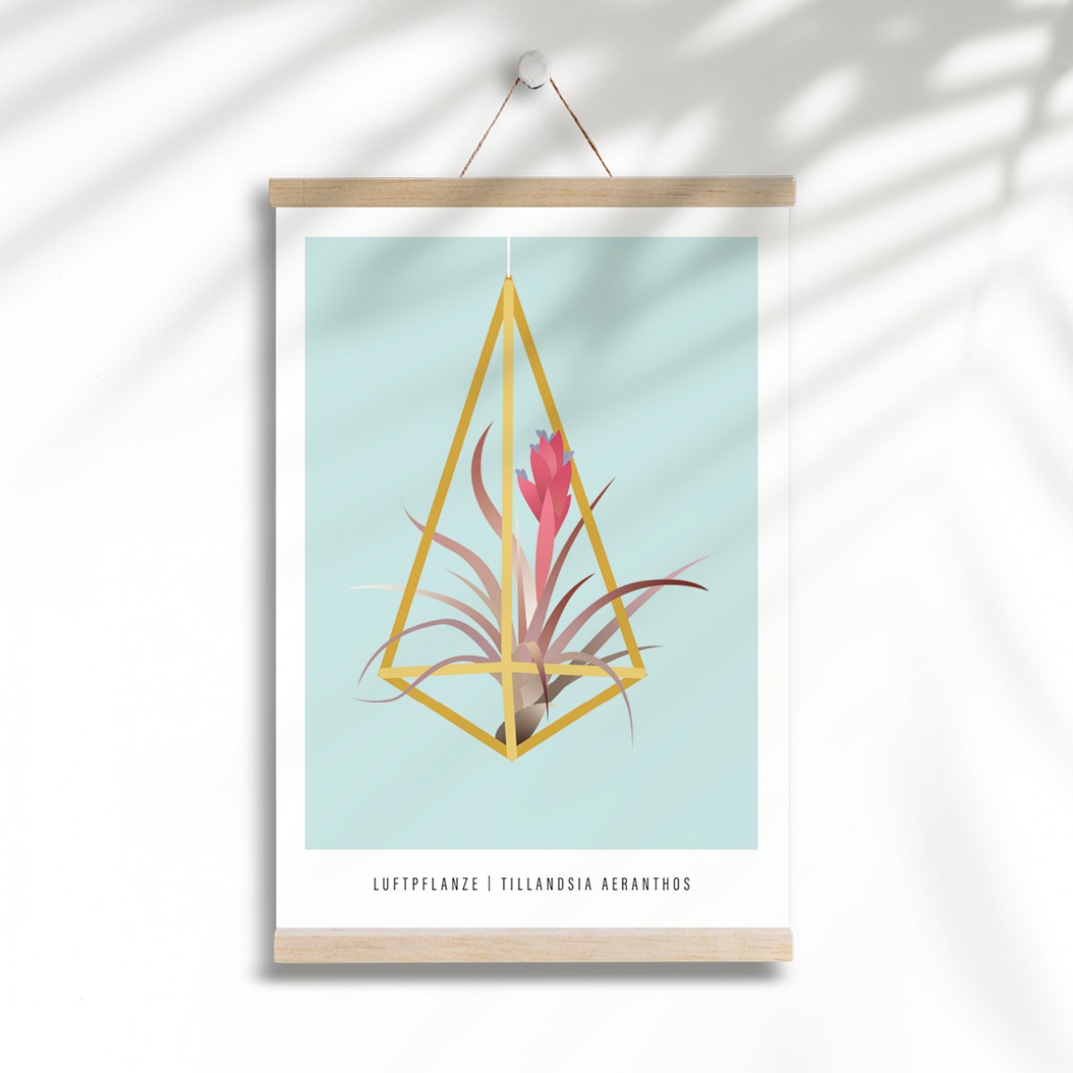 Hey Urban Monkey - A4 Poster - „Luftpflanze“
