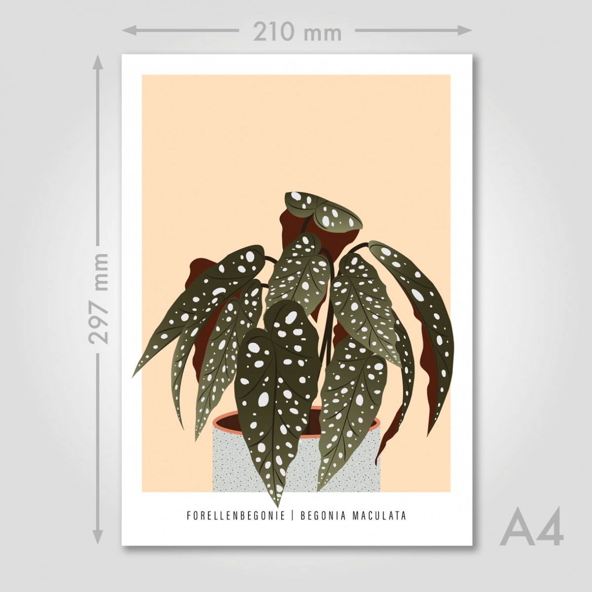 Hey Urban Monkey - A4 Poster - „Forellenbegonie“