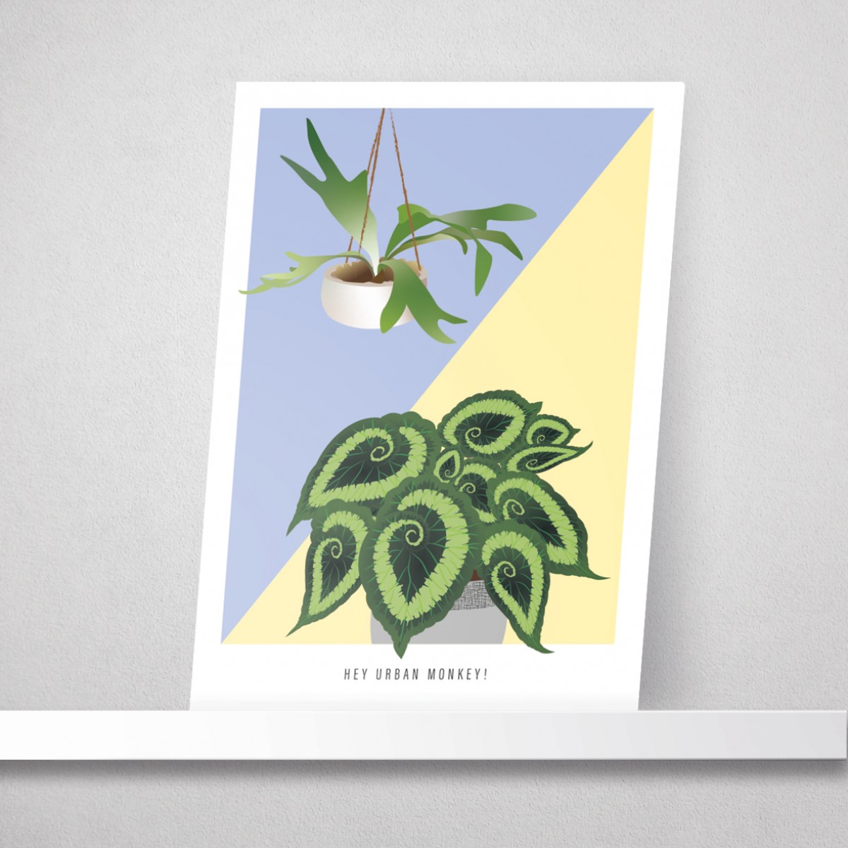 Hey Urban Monkey - A4 Poster - „Begonia/Staghorn“