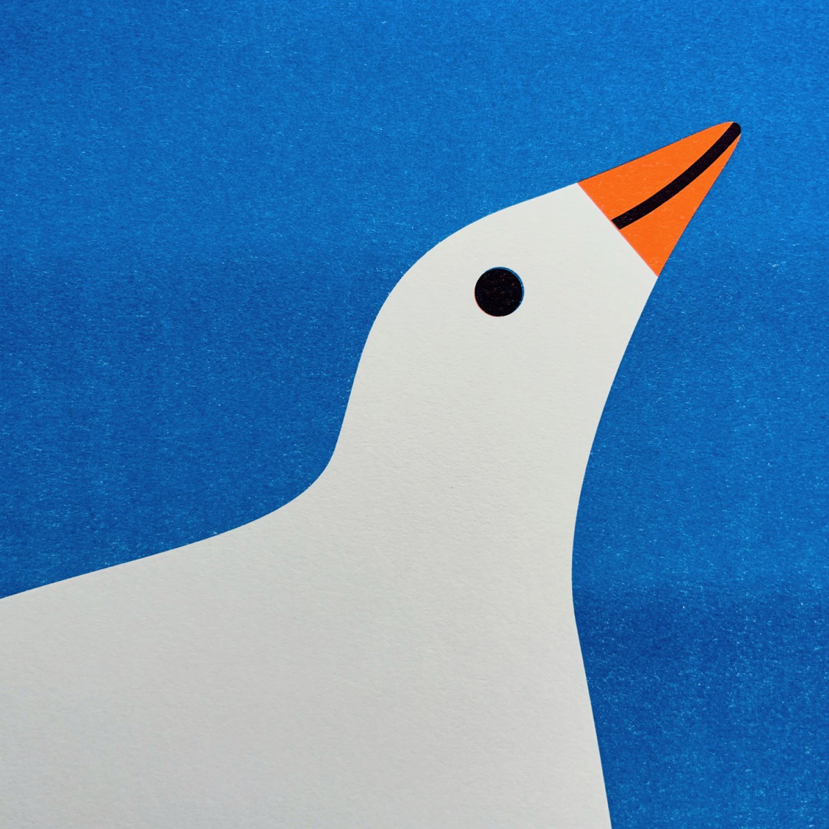 Weiße Taube – Riso Print A2 – stefanizen