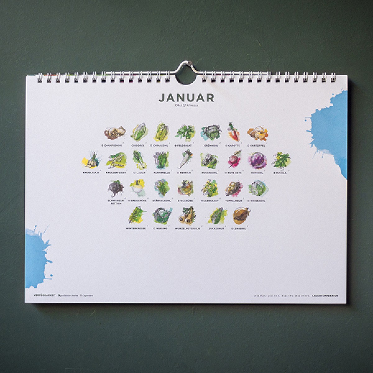 Saisonkalender für Obst & Gemüse, farbig, 101 Sorten, Ringkalender