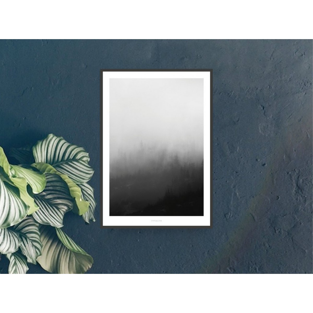 typealive / Landscape No. 31