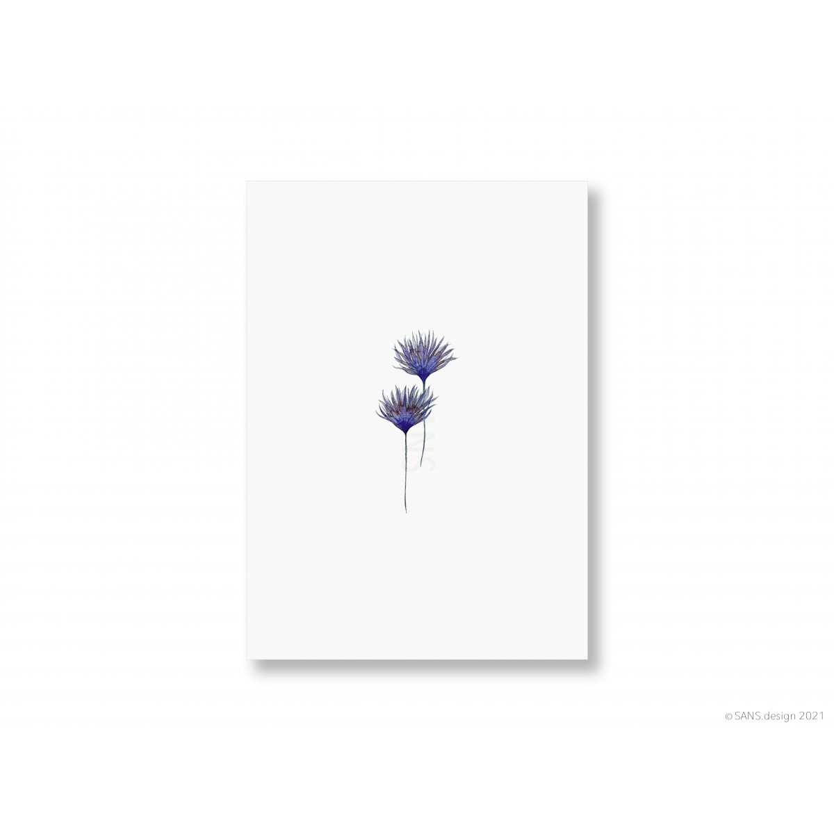 Postkarten-Set, FLORAL - SANS.