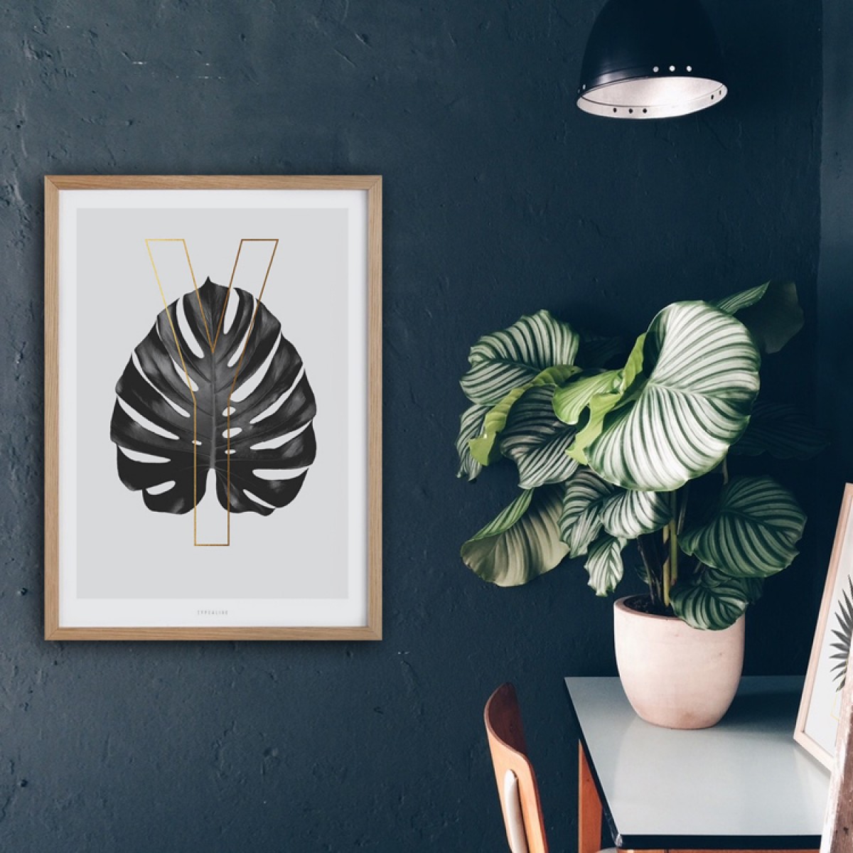 typealive / ABC Plants - Y