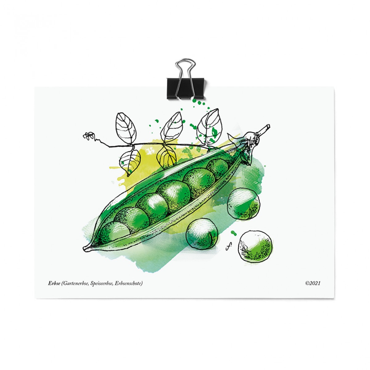 Postkartenset, 16 Obst und Gemüse Postkarten von Kupferstecher.Art