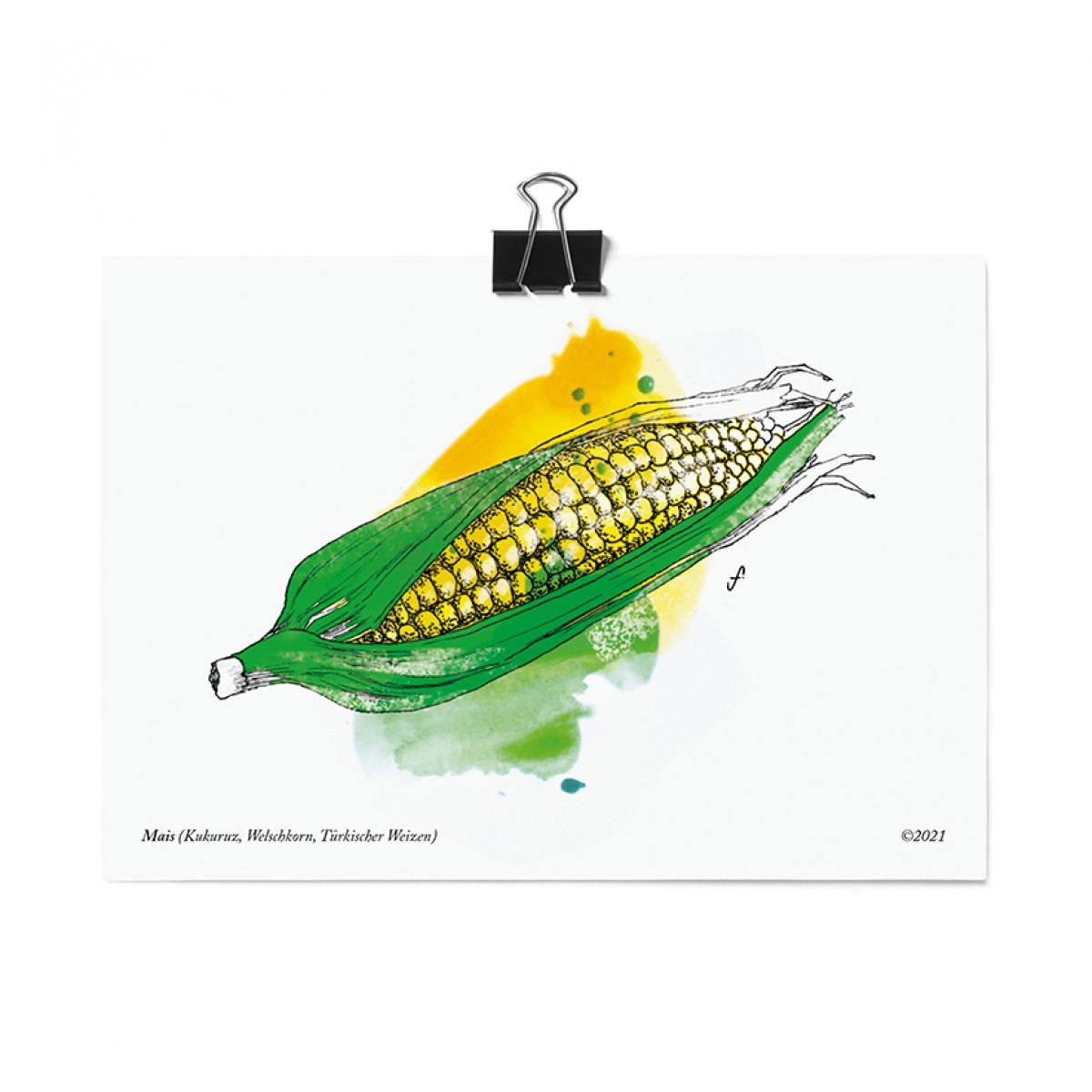 Postkartenset, 16 Obst und Gemüse Postkarten von Kupferstecher.Art