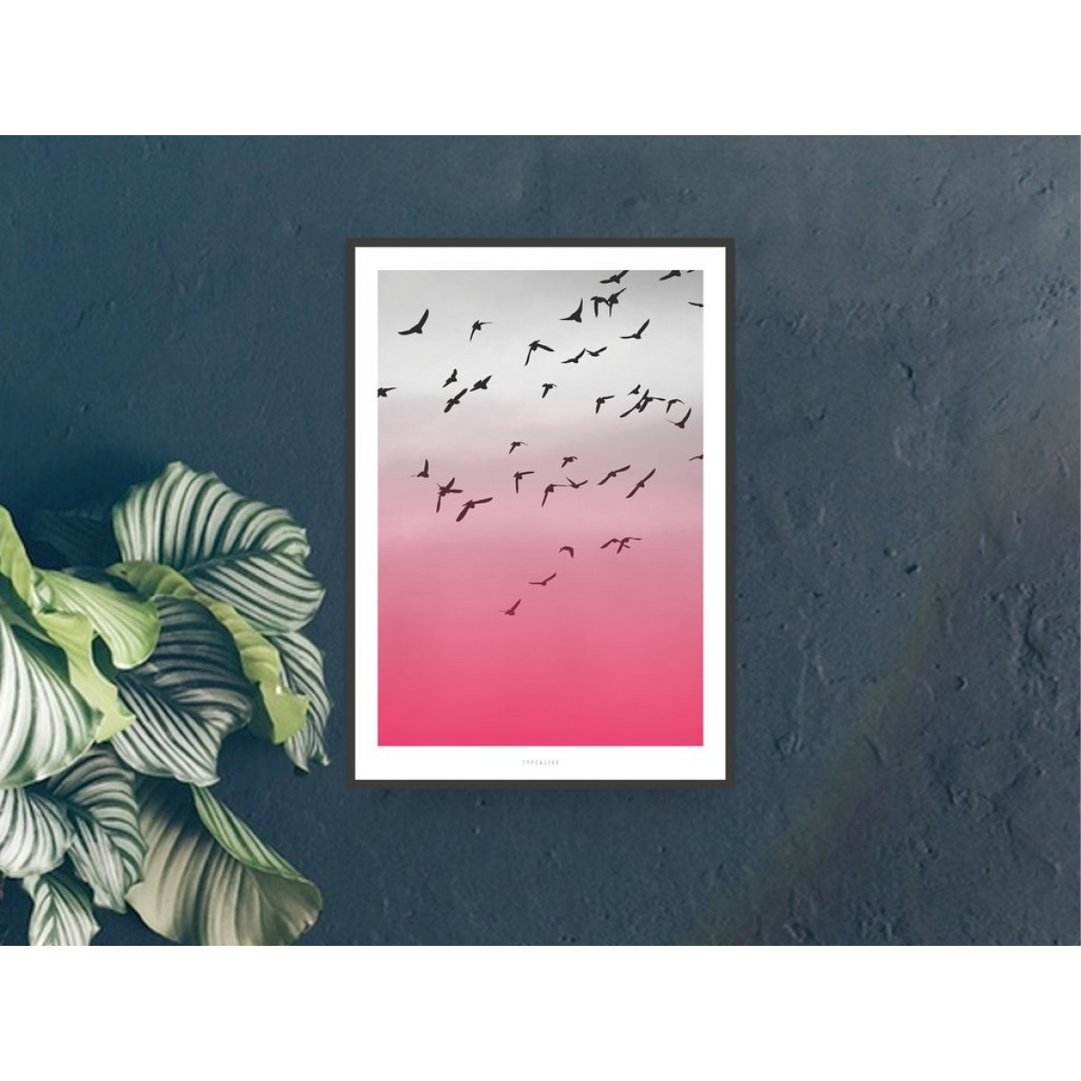 typealive / Birds No. 2