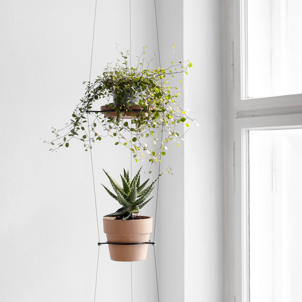 ORBIT Pflanzenampel | Result Objects