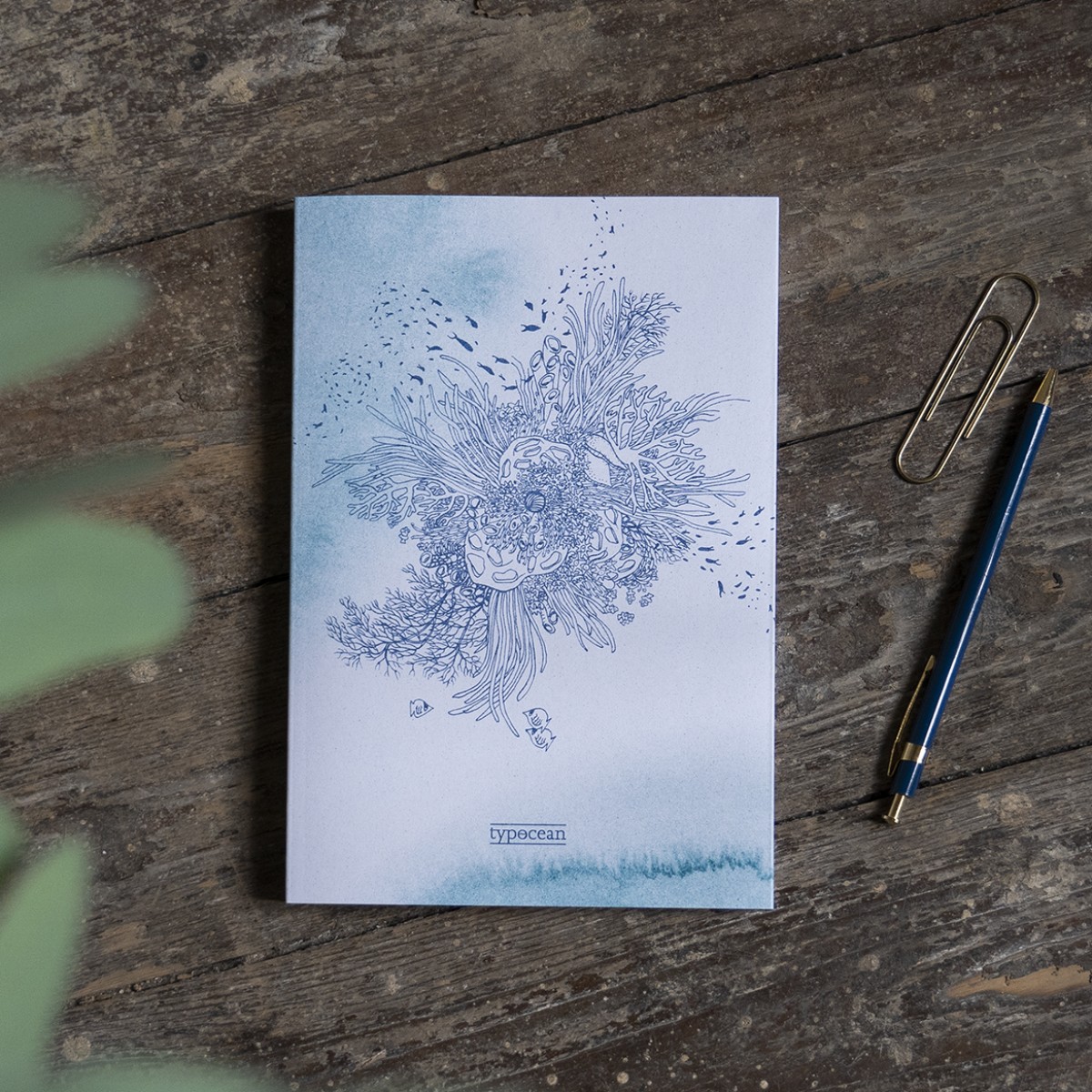 Reef Journal ~ typocean ~